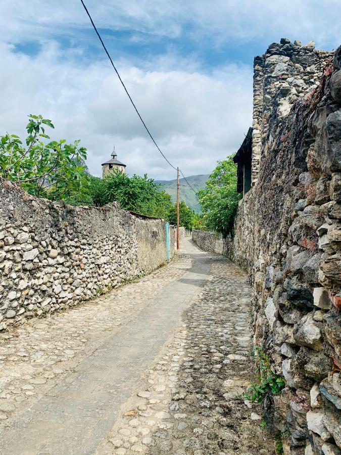 La Kabylie Au Coeur Des 3 Vallees Internet Tout Compris Tarascon-sur-Ariège Eksteriør billede